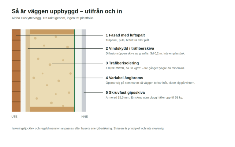 Väggsektion Alpha Hus – fasad, vindskydd i träfiberskiva, träfiberisolering, variabel ångbroms, skruvfast gips